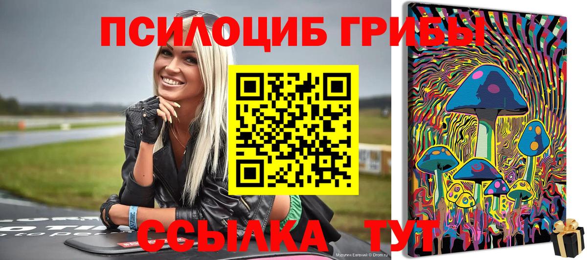 Добрянка  где можно купить наркотик  Вход с VPN  Псилоцибиновые грибы GOLDEN TEACHER 