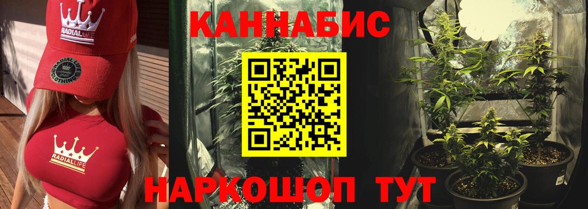 Конопля сатива  Вход с VPN  Бошки Шишки тримм  Добрянка  МАРИХУАНА планчик  Марихуана план 